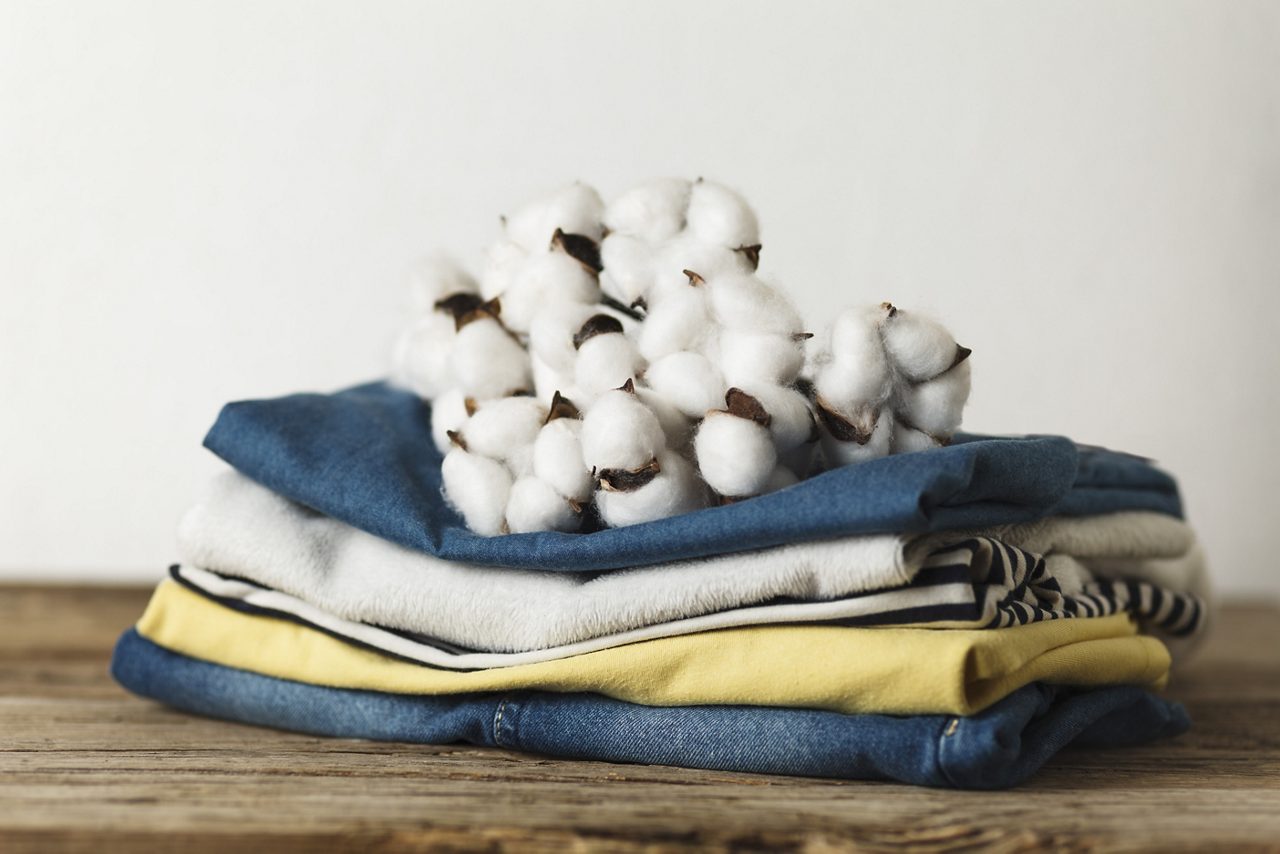 Pure Cotton - Organic Cotton Products - Cape Town