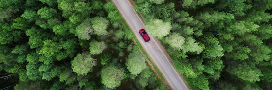 Aerial view of green forest and red car on the road