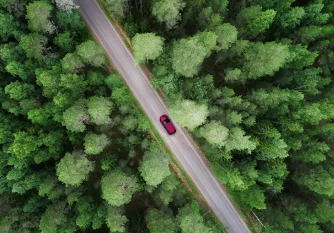 Aerial view of green forest and red car on the road. Bird's eye. Travel concept.