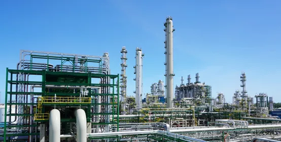 Processing power plant polymer pharmaceutical petroleum