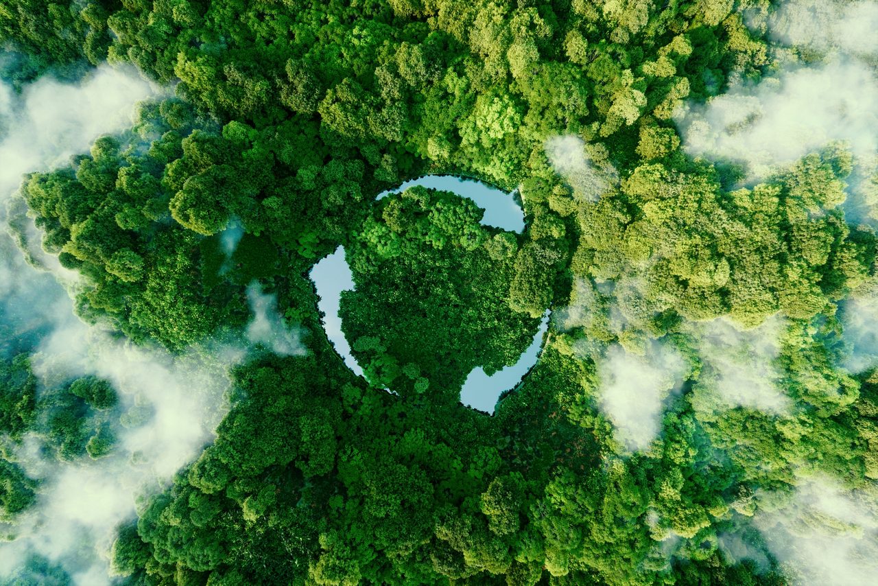 Floresta tropical e símbolo de circularidade