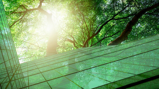 Sustainable green building. Eco-friendly building. Sustainable glass office building with tree for reducing carbon dioxide. Office with green environment. Corporate building reduce CO2. Safety glass.