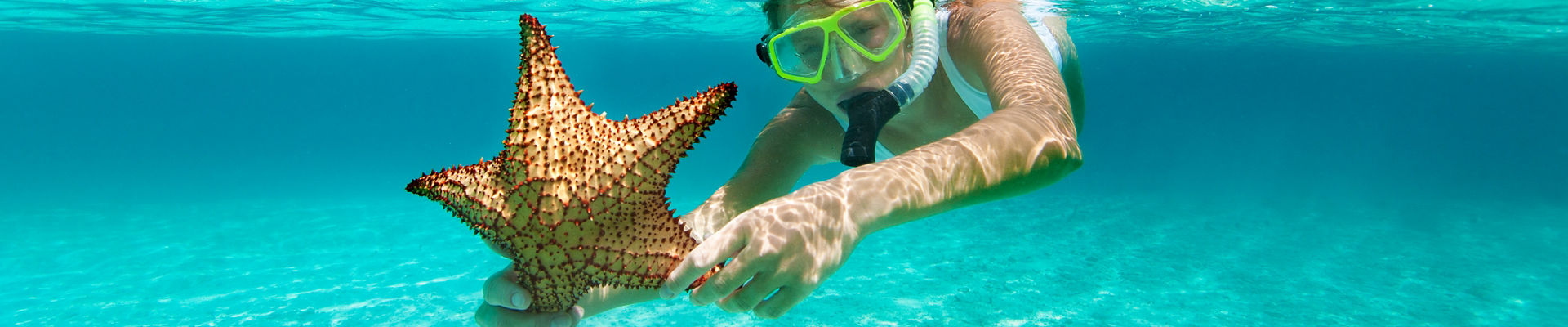 Woman with snorkel and mask holding a starfish