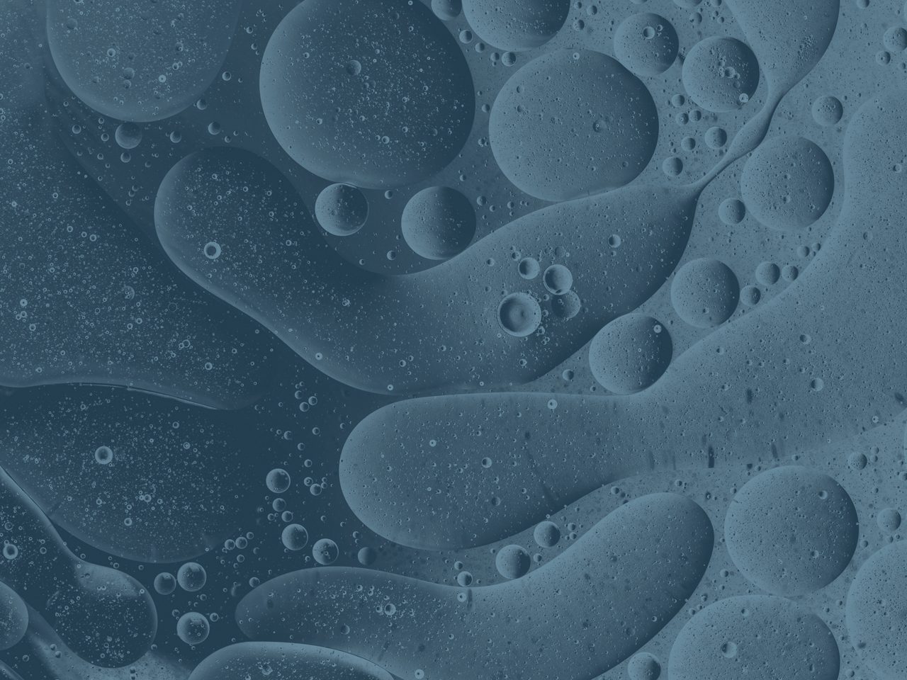 Full frame of the textures formed by the bubbles and drops of oil in the shape of circle floating - slate texture