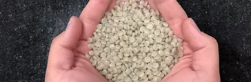 Hand holding pellets