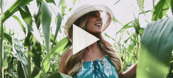 Jovem mulher loira usando vestido e chapéu andando por um campo de milho.