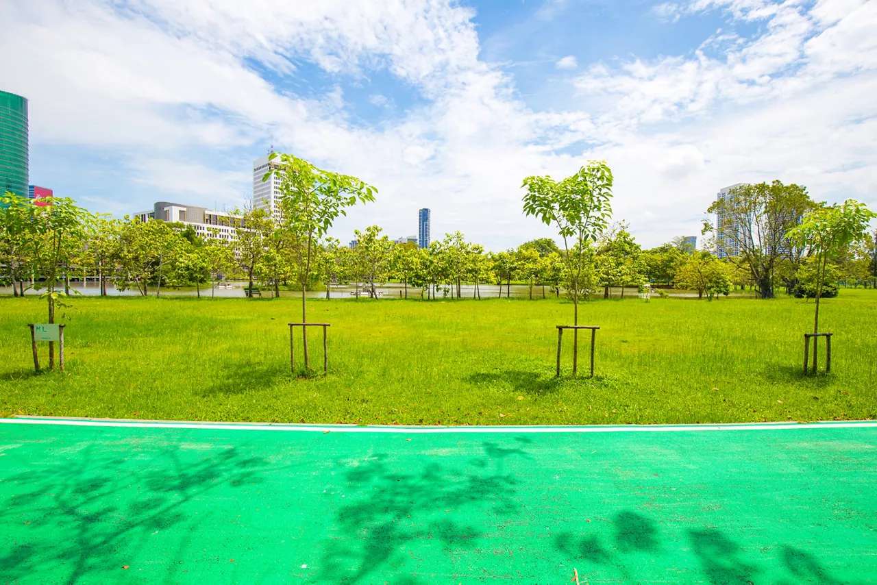 Empty green bike track in city public park sunny day outdoor activity.