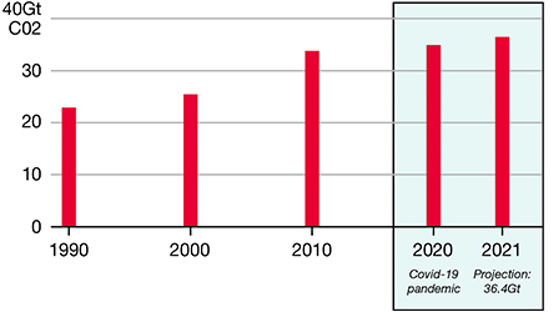 gráfico covid