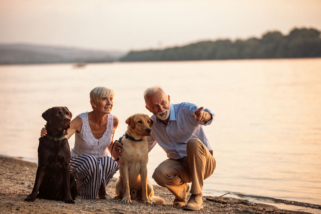 Shot of a happy senior couple playing with their dogs by the river.
