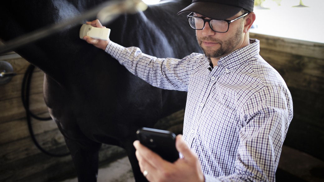 Bringing Handheld Ultrasound Imaging to Vets and Pets