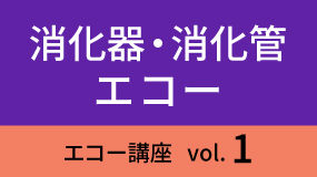 shokaki-Koza01