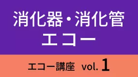 shokaki-Koza01