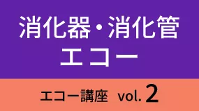 shokaki-Koza02