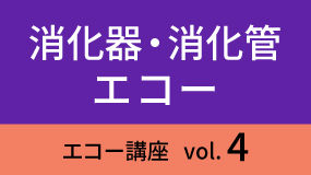 shokaki-Koza04