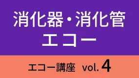 shokaki-Koza04