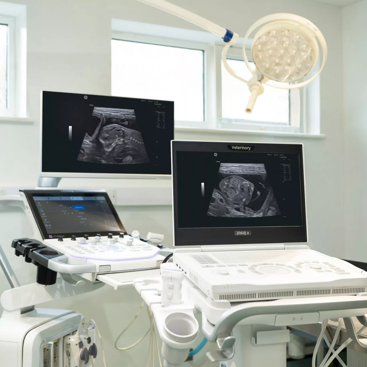 06-Reproductive-medicine