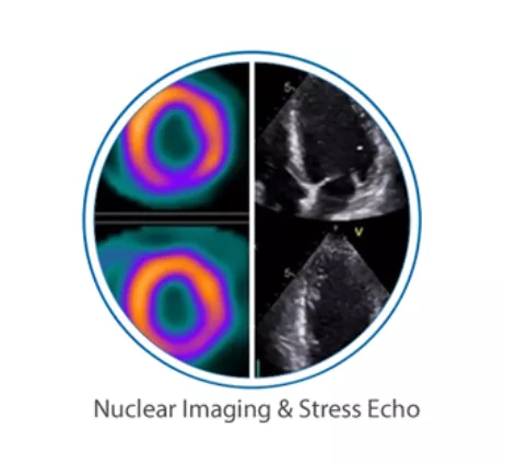Imaging Studies