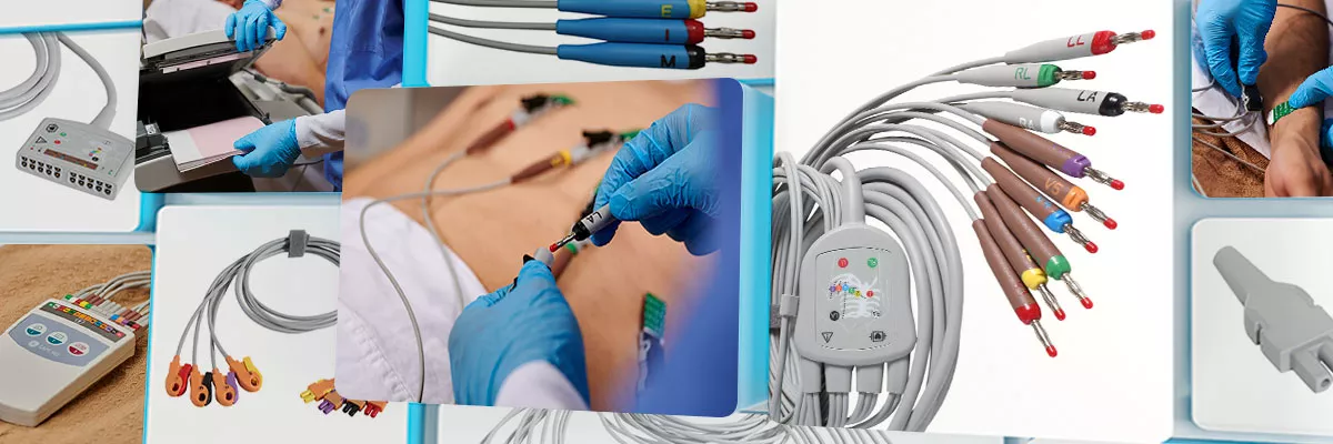 1DCAR-ECG-1200x400-banner