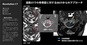 2025Dual_03_01