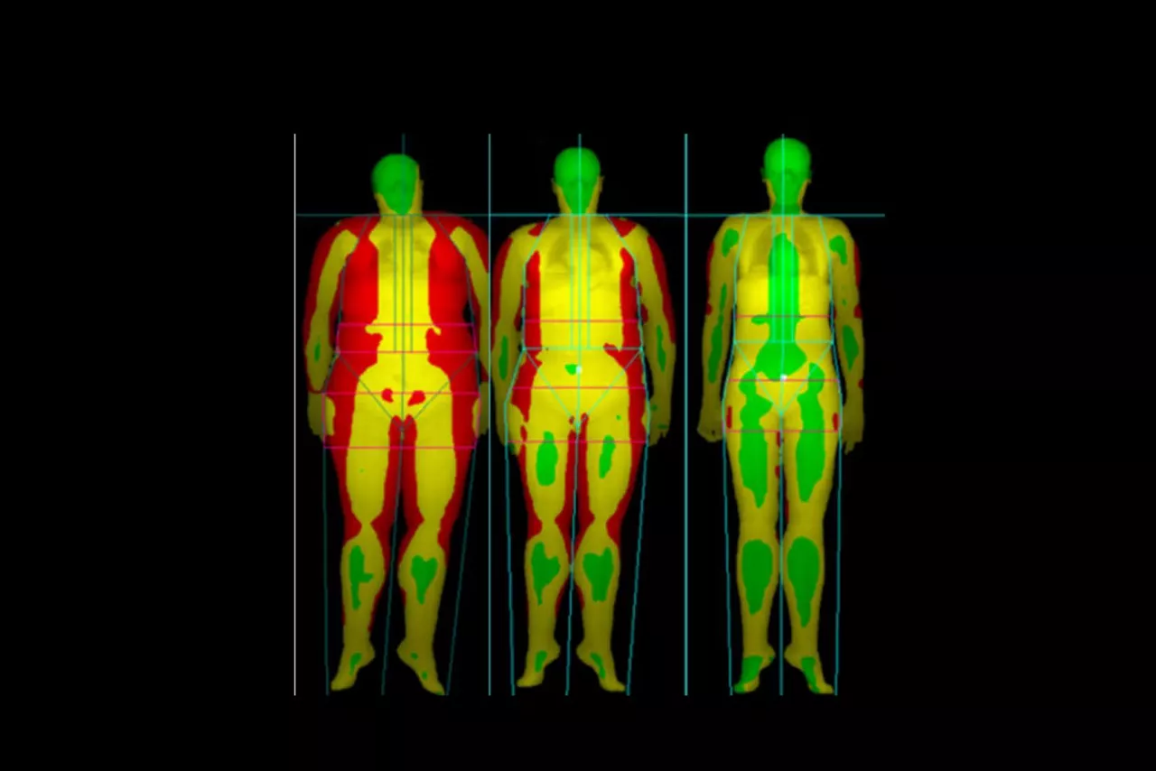4-body-composition-ba-en
