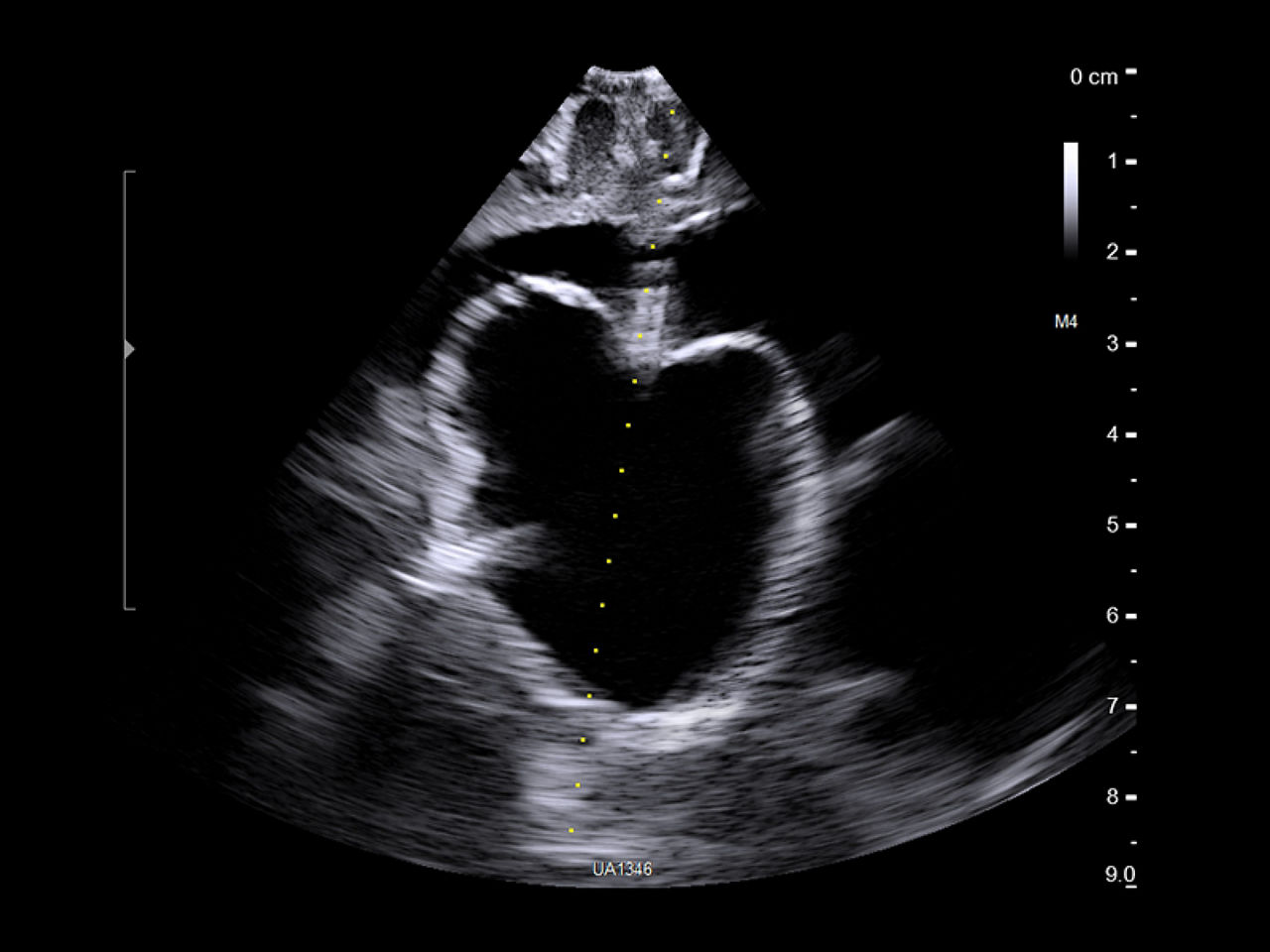 5-Pediatrics-desktop