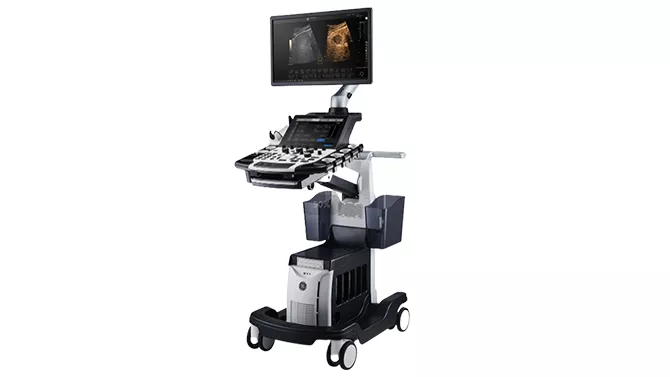 6Fortis Series