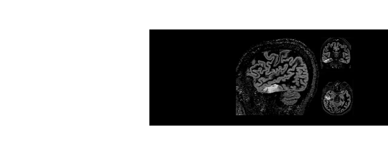 CubeDIR-1600X650
