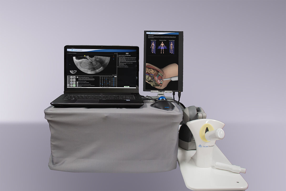 Endometriosis-Simulation-Module-Hero