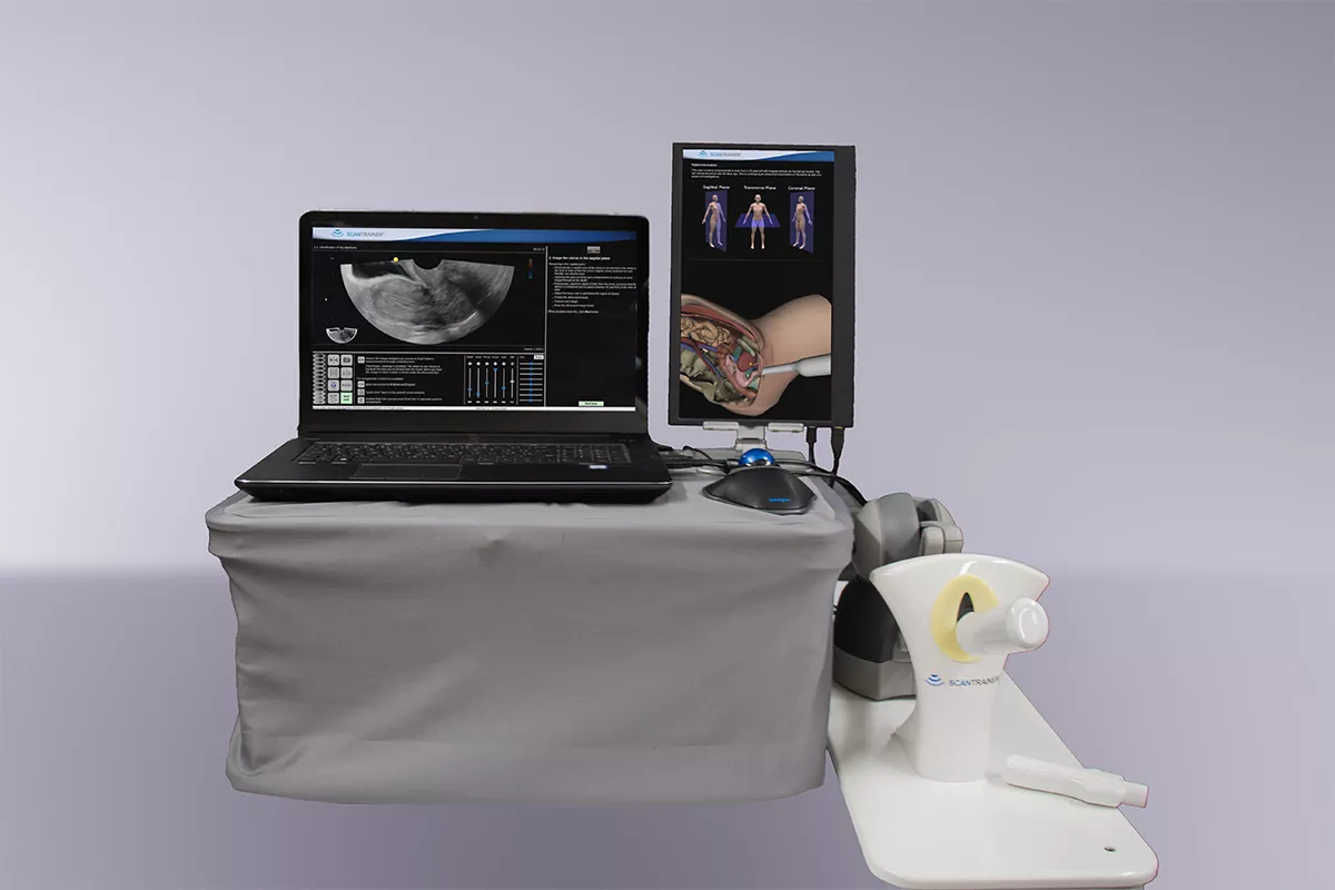 Endometriosis-Simulation-Module-Hero