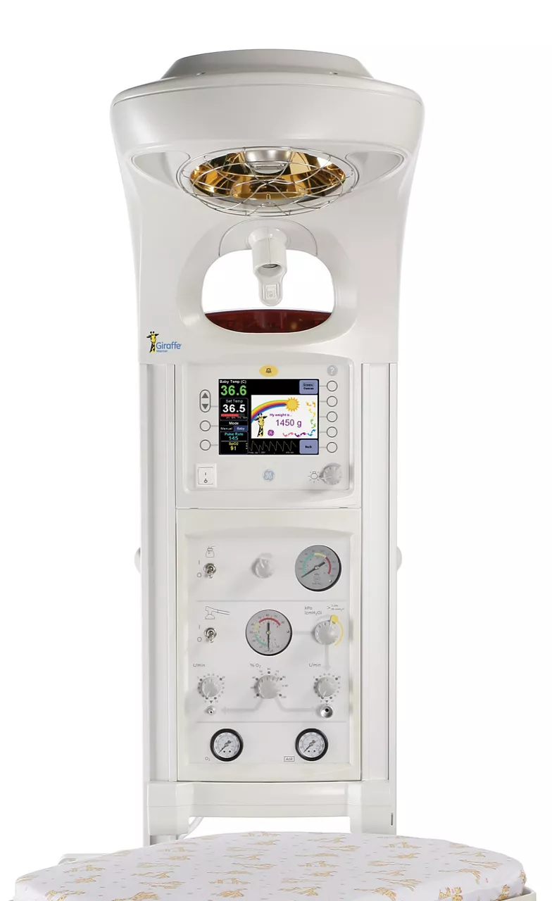 Giraffe Warmer weight The right lights-updated-050806-v1
