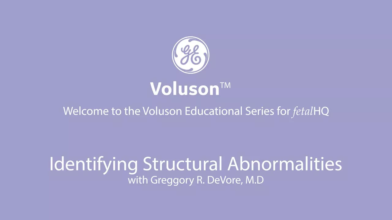 Identifying-structural-abnormalities-with-fetalHQ-JB34717XX-te-en