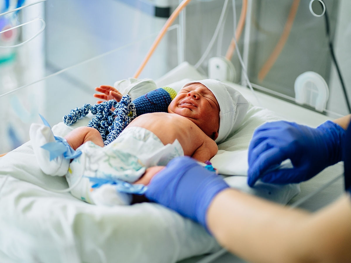 Incubators_for_temperature_regulation