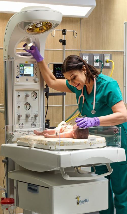 LD-Giraffe- warmer-resized-2523-v3