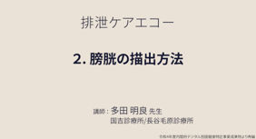 Picture2 (1)
