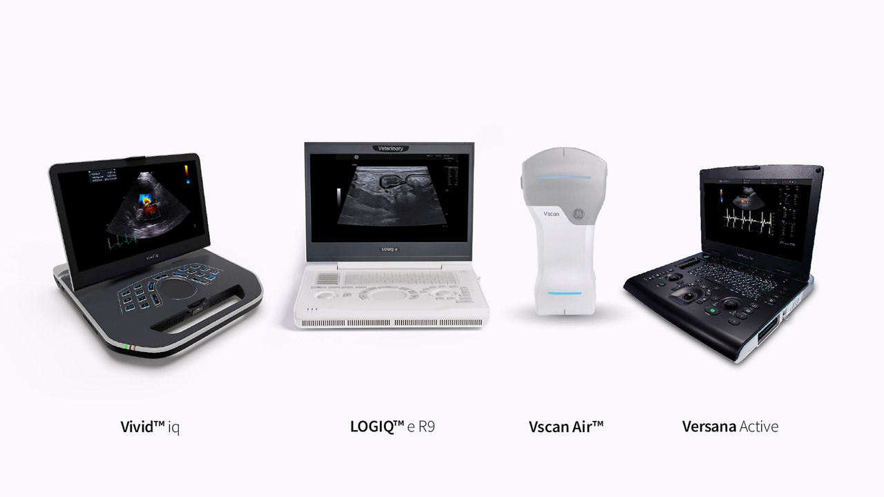 Portable-Solutions-desktop