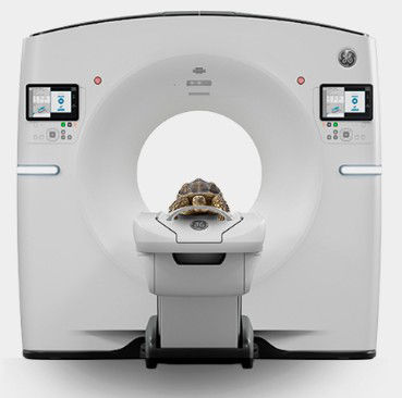 45637-LP-Cardiology-Visuel-2-092023