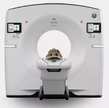 45637-LP-Cardiology-Visuel-2-092023
