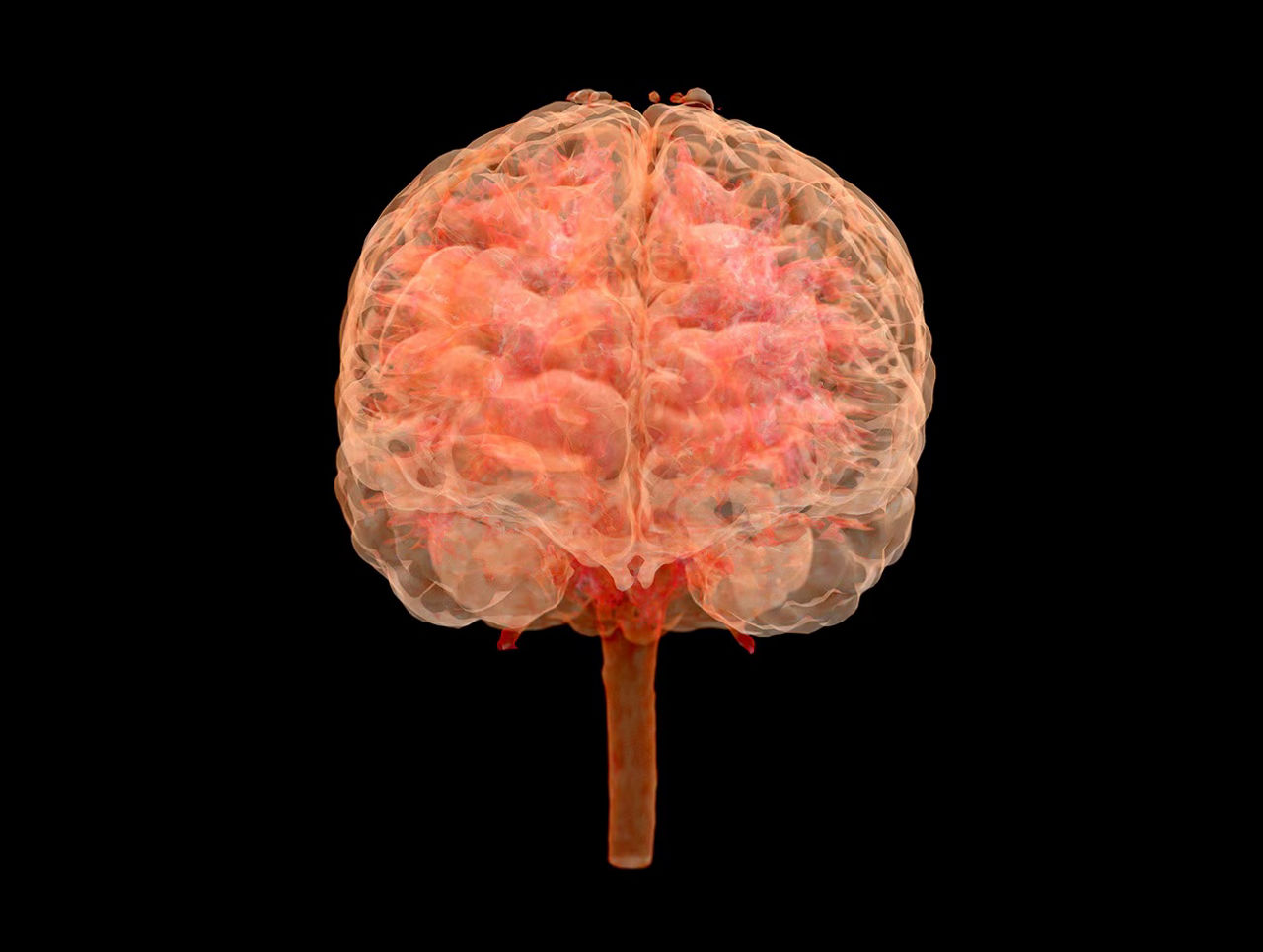 advanced-visualization-platforms-accessing-av-apps-st-en