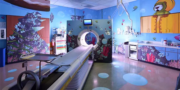 content card image