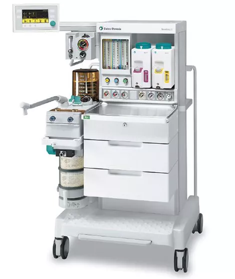 Aestiva Photo v2 - 470 size