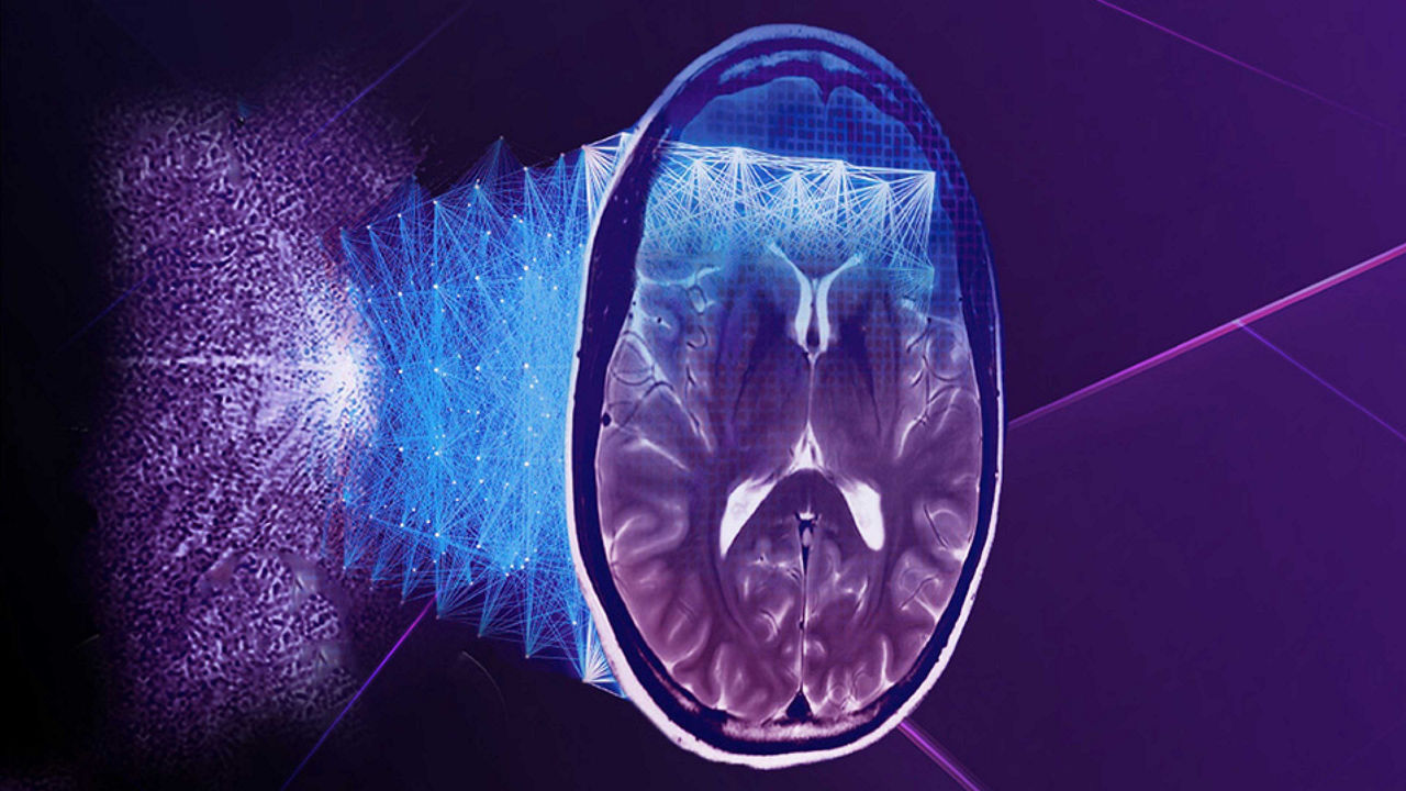 Blood pressure cuffs in various sizes.