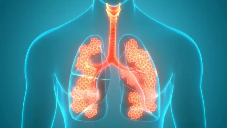 Clinician viewing x-ray of patient lungs