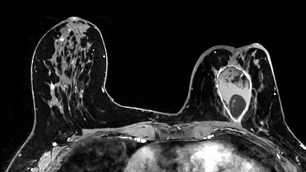 applications-bodyworks-ci-en