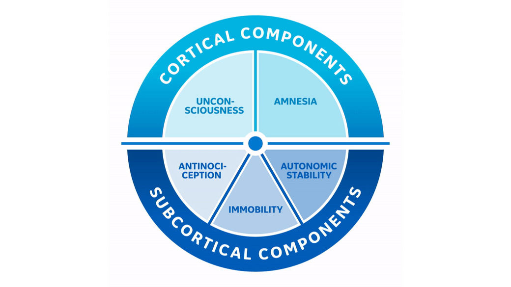 graph showing cortical components and subcortical components to assess patient depth of anesthesia