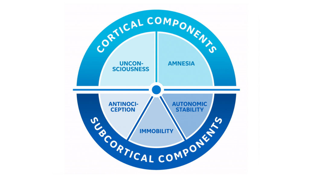 article-2-quick-guide-nmt