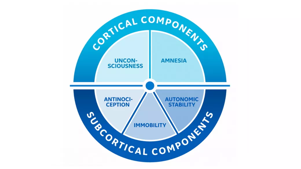 Pie chart of critical components and subcortical components