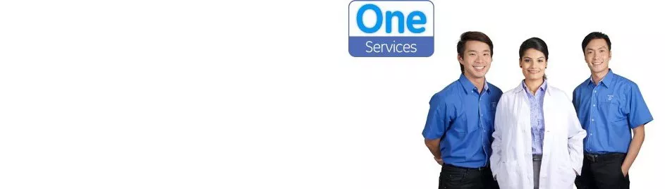 asean_service_offering_top