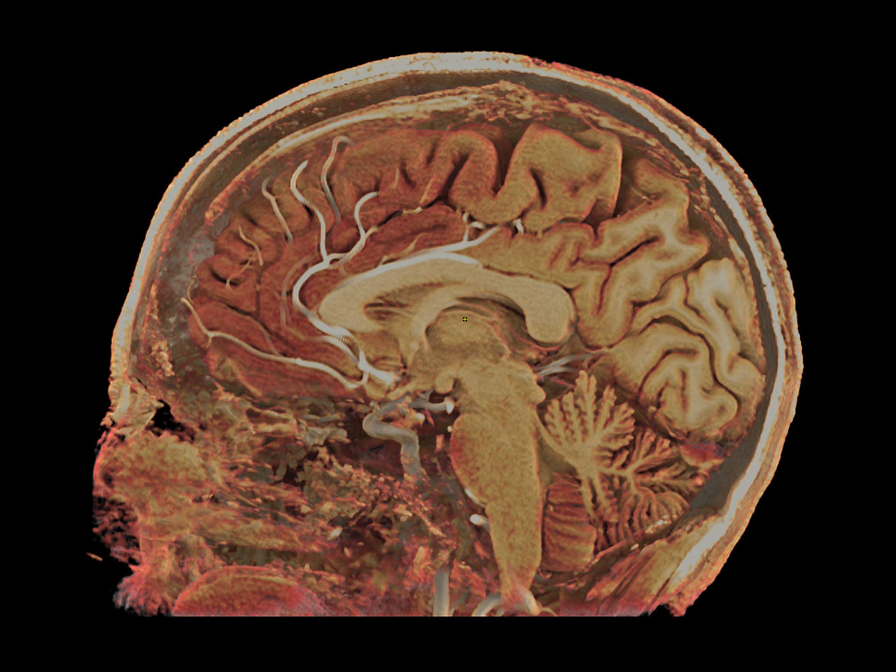 aw-family-applications-desktop