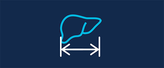 AW-Hepatic-VCAR-dynamic-measurement