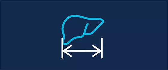 AW-Hepatic-VCAR-dynamic-measurement
